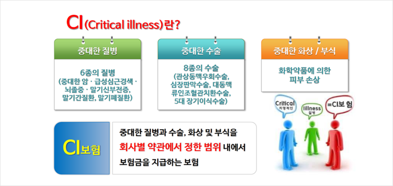 CI보험 이미지 01